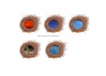 Nest