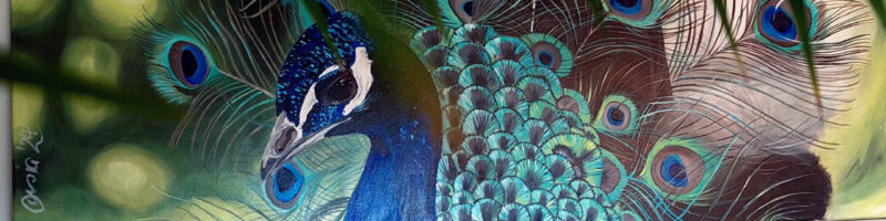 Pfau